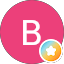 Britt S. Avatar